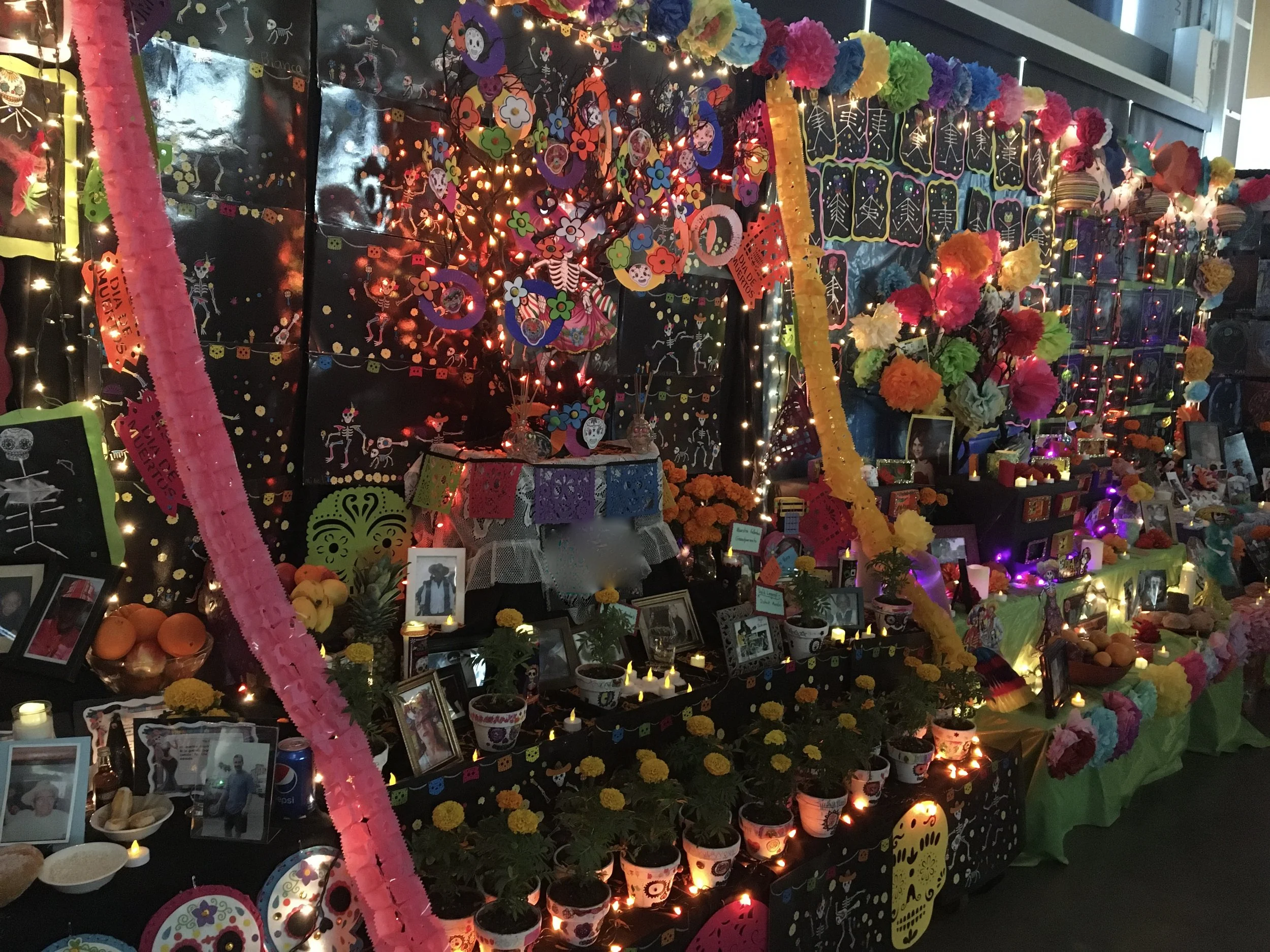 Fall Festival / Festival de Otoño