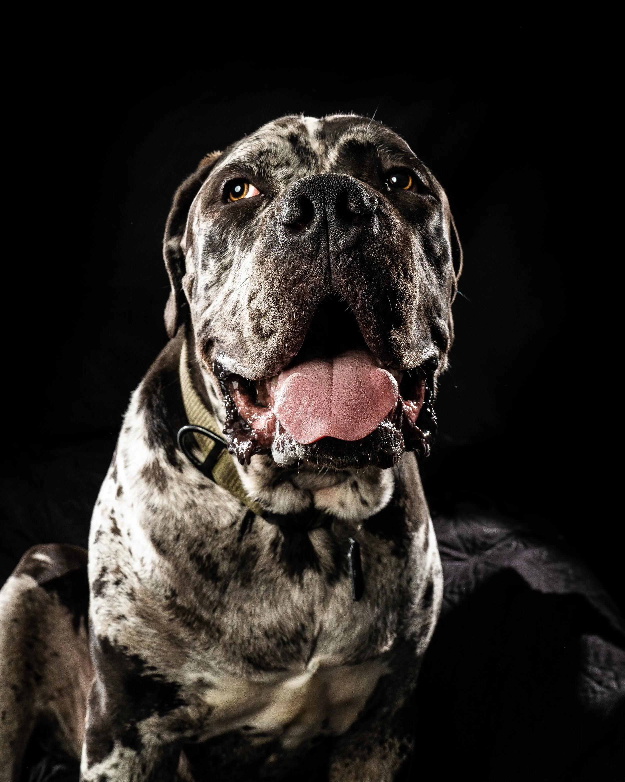 edits (19 of 25).jpg