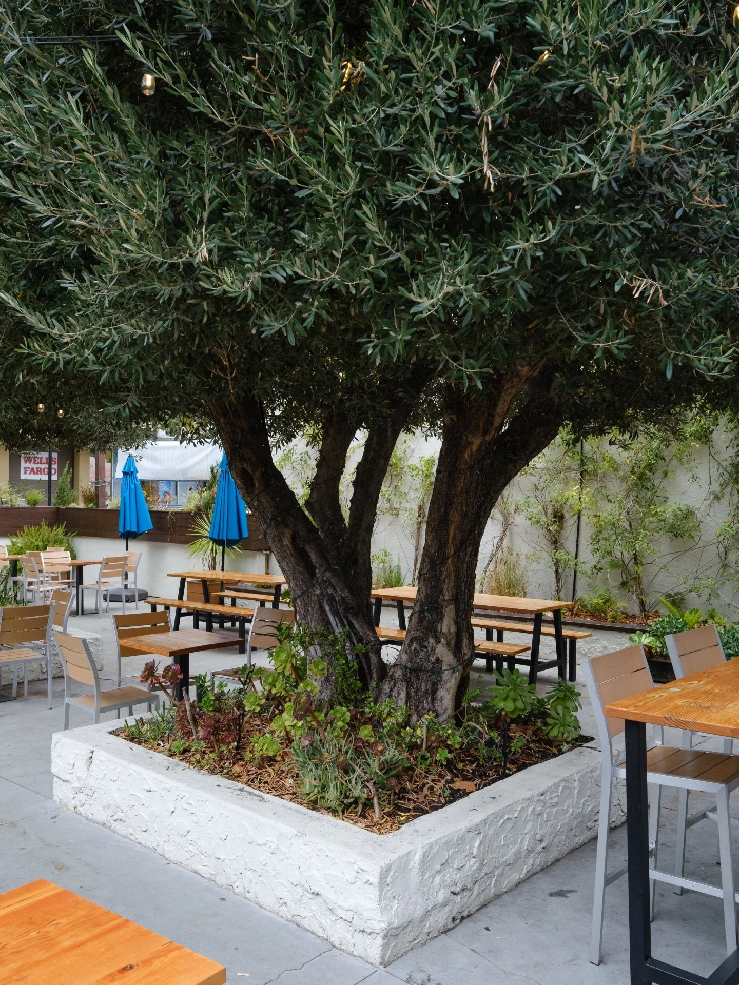 Its a beautifully sunny Sunday down at Side Gate! With Dan the Record Man here till 4pm and La Kira serving up your favorites, it&rsquo;s sure to be a fun one! Come soak up the sun and enjoy a delicious craft beer while you&rsquo;re at it! Cheers!