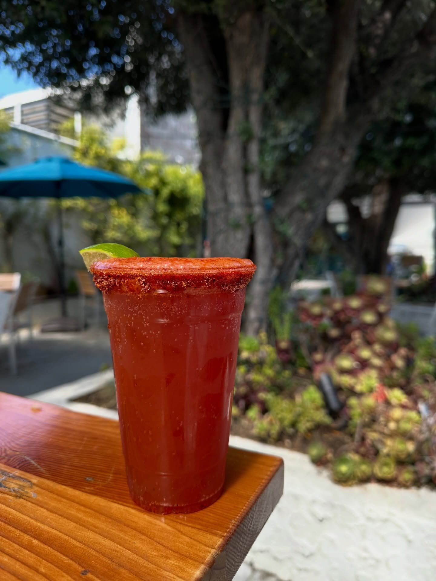 Ready to quench your thirst? Micheladas by La Kura return this Saturday! Come join us as we Shifty into Summer this Saturday! Shakey Ground will be rocking the beer garden from 5-8pm and La Kura will be here serving delicious food &amp; Micheladas fr