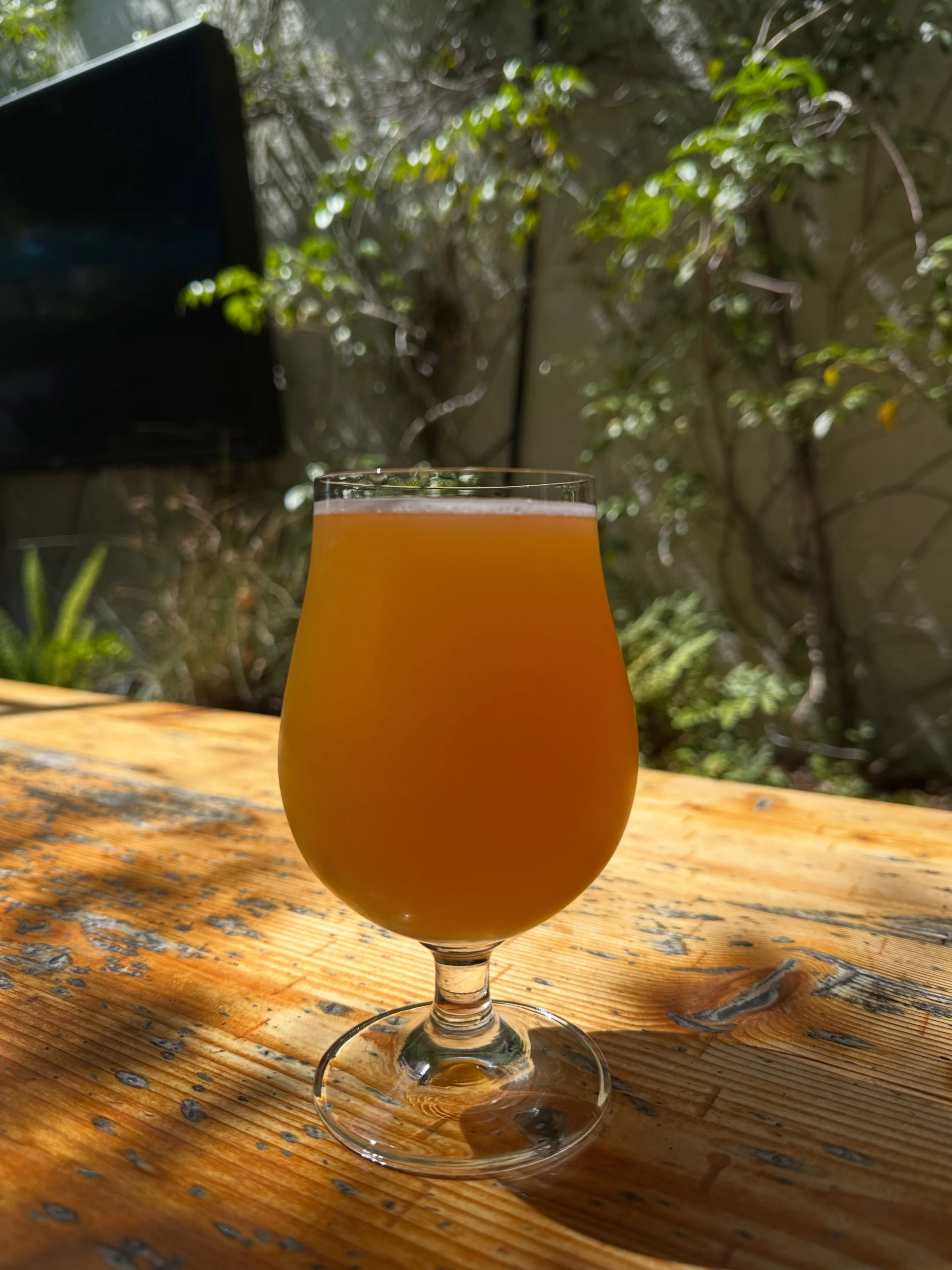 Is tart the way to your heart? Have you tried our new fruited sour Passion O.G.? With Passion Fruit, Orange and Guava this drink hits the spot! Stop by for a pour today or try one of our many other beers on tap! Cheers 🍻