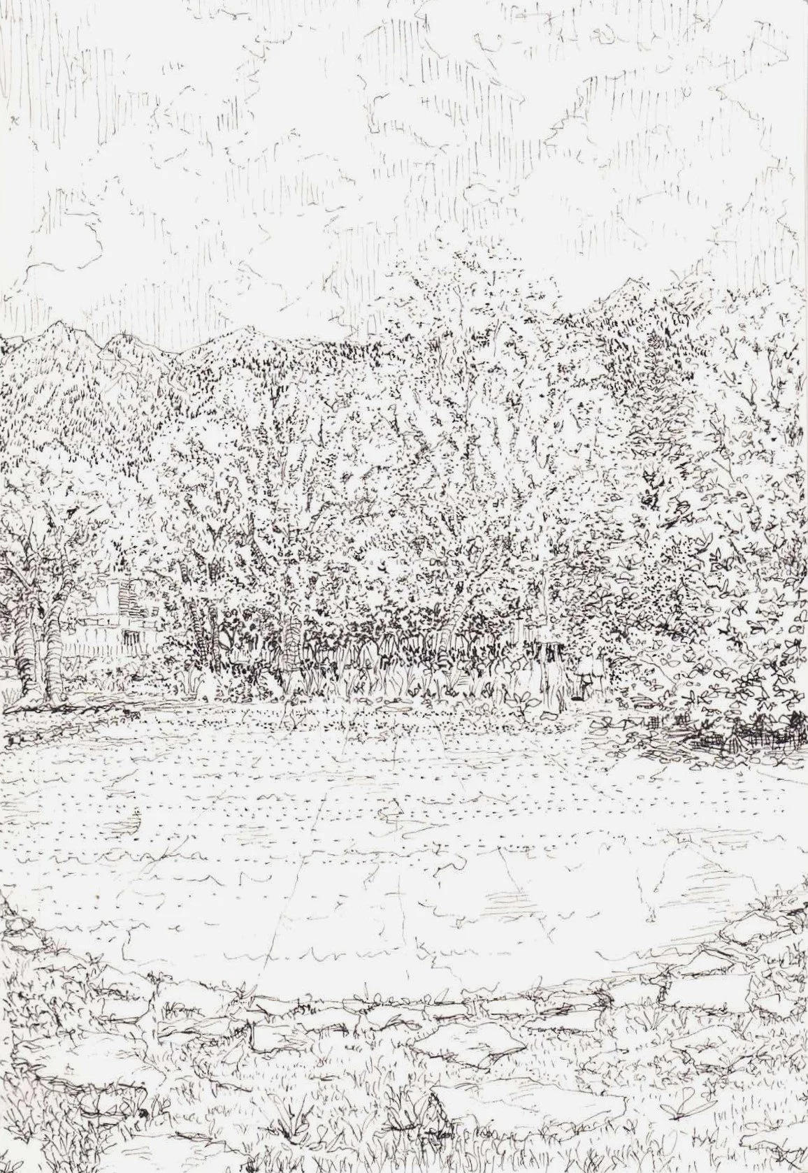 sketchbook 23, Spring 2024 & Summer 2024_Page_44.jpg