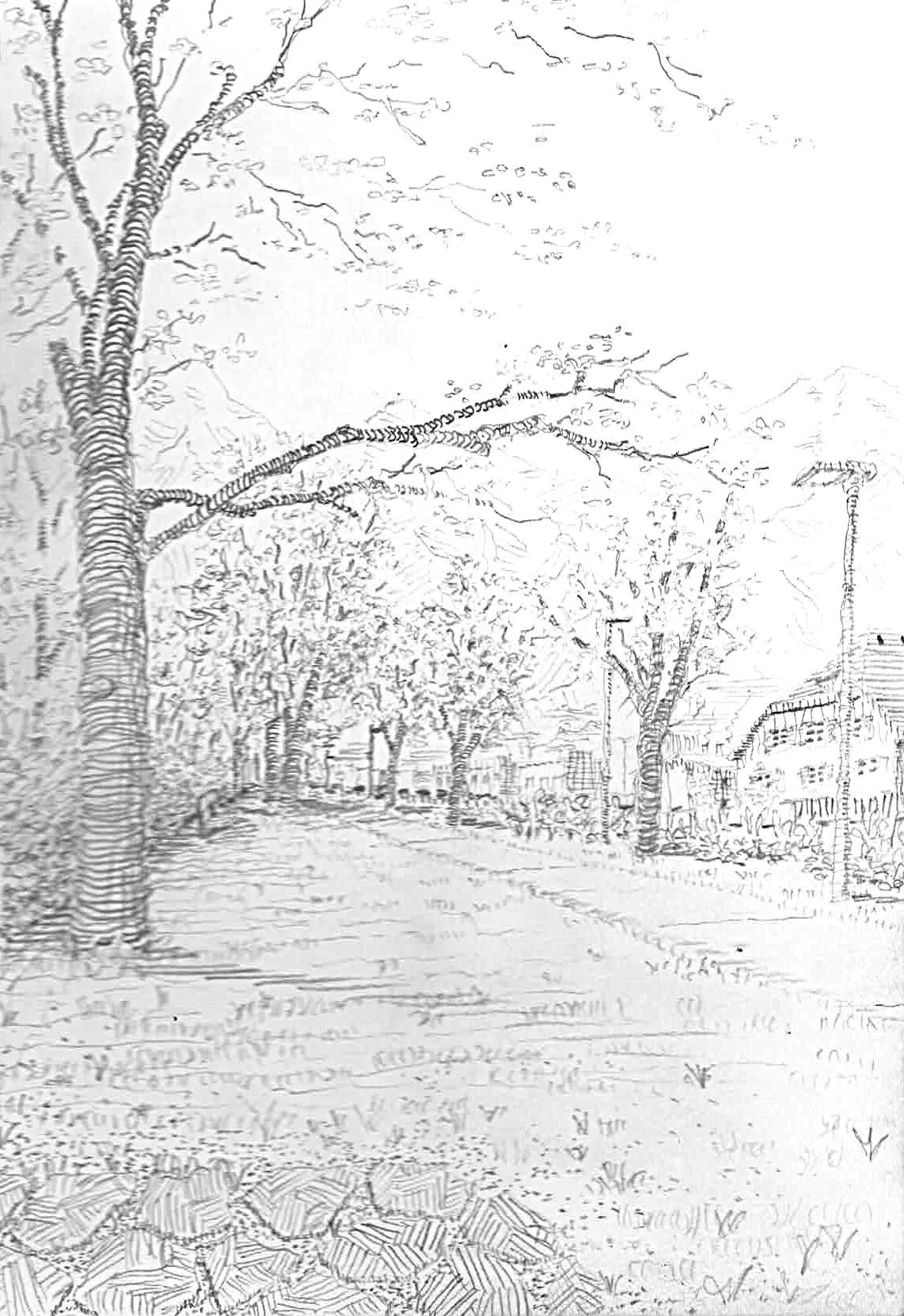 sketchbook 22, Spring 2024_Page_35.jpg