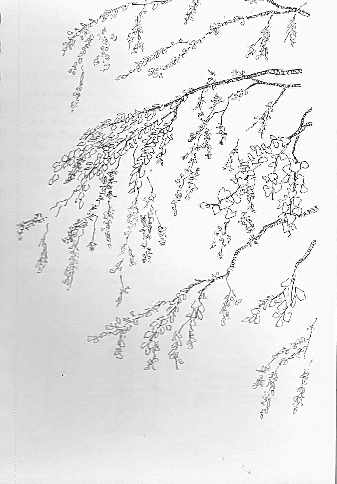 sketchbook 22, Spring 2024_Page_37.jpg