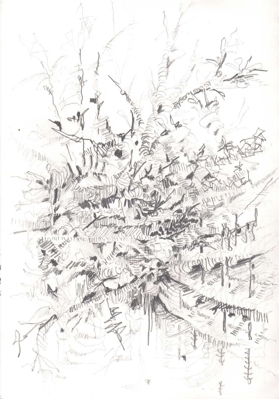 sketchbook 23, Spring 2024 & Summer 2024_Page_05.jpg