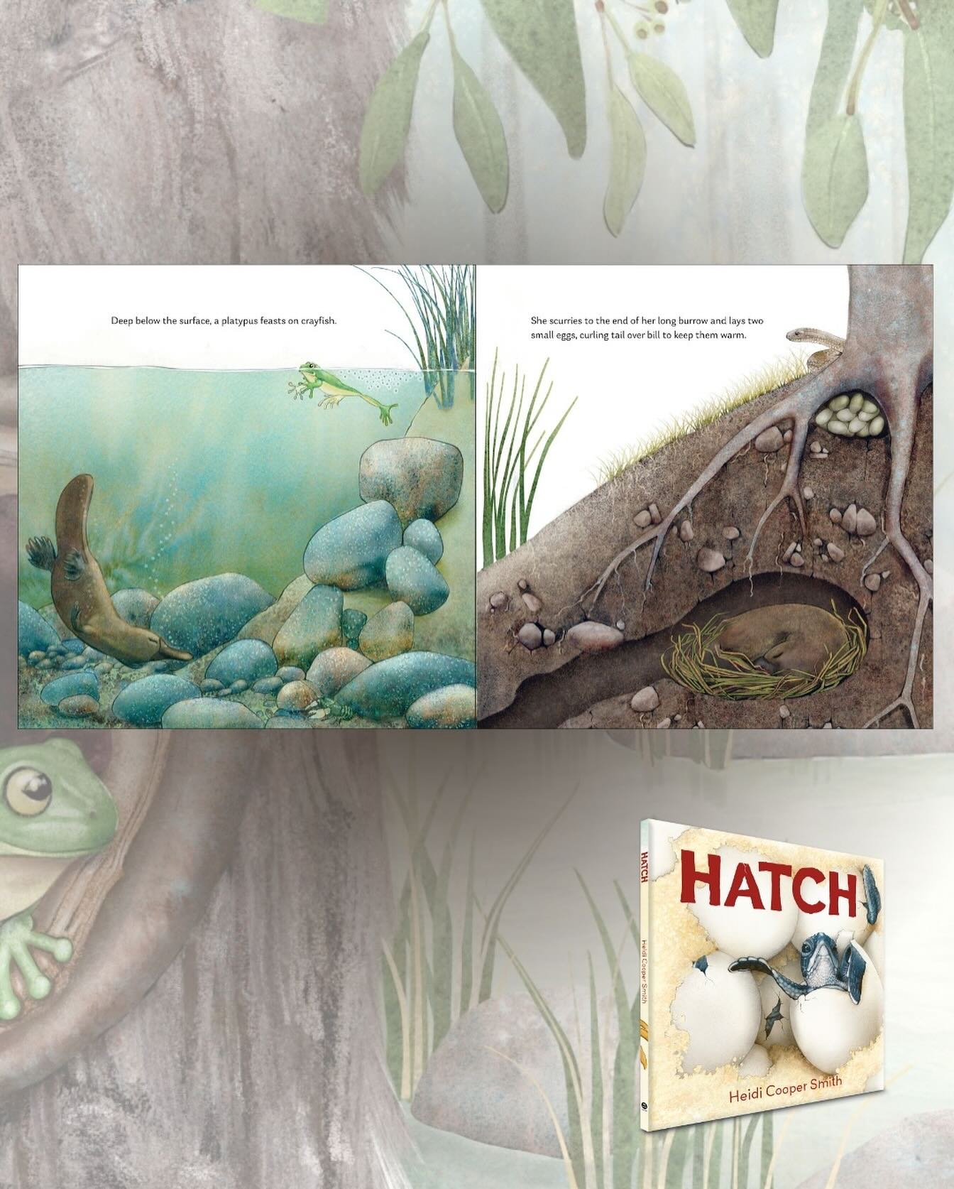 My concept for Hatch was to create a format like stills from a movie, starting at the ocean then moving inland, exploring the environment then returning to the beach. Each spread is linked, so that something from the previous spread always appears in