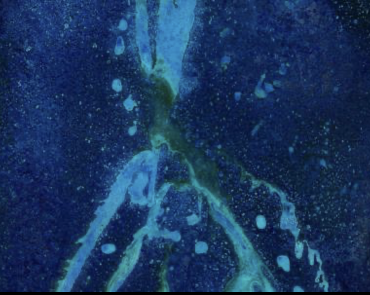 Screenshot 2026-02-10 at 2.02.43 PM.png