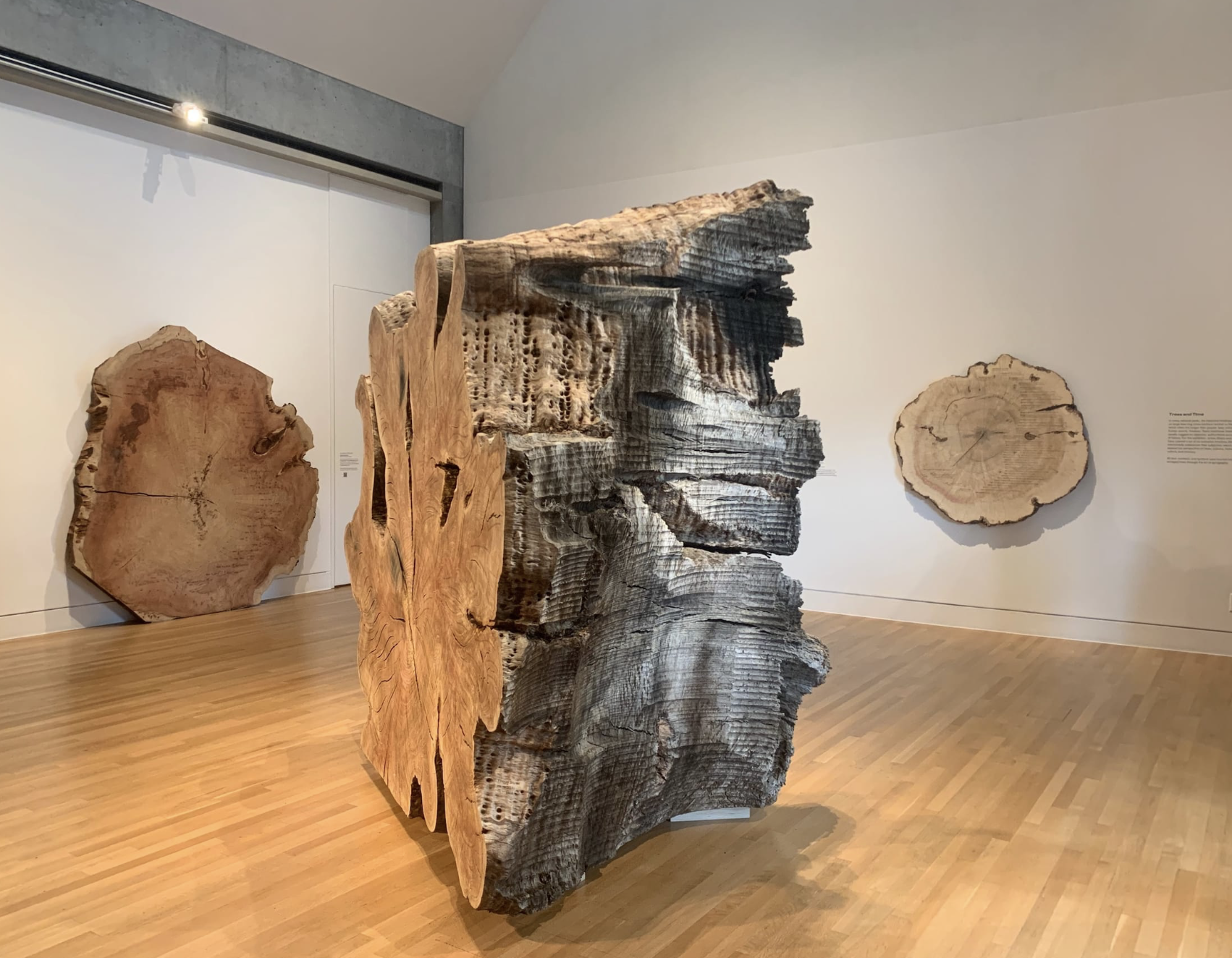 Screenshot 2026-02-10 at 3.58.22 PM.png