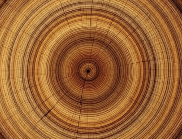 Memo to the Self Important