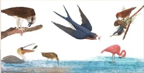 Screenshot 2026-03-14 at 6.42.24 AM.png