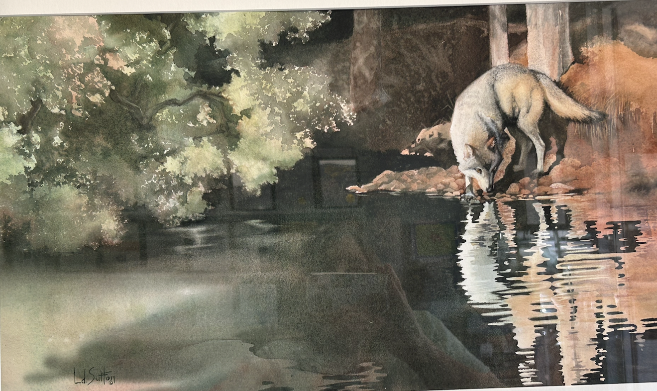 Screenshot 2026-08-08 at 7.01.20 PM.png