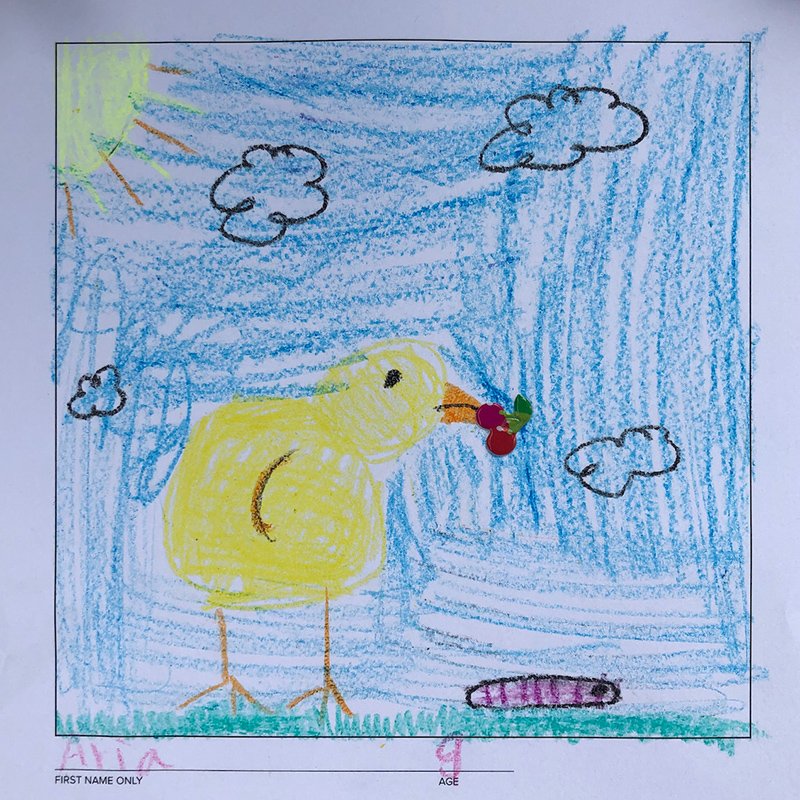 Example of Free drawing sheets