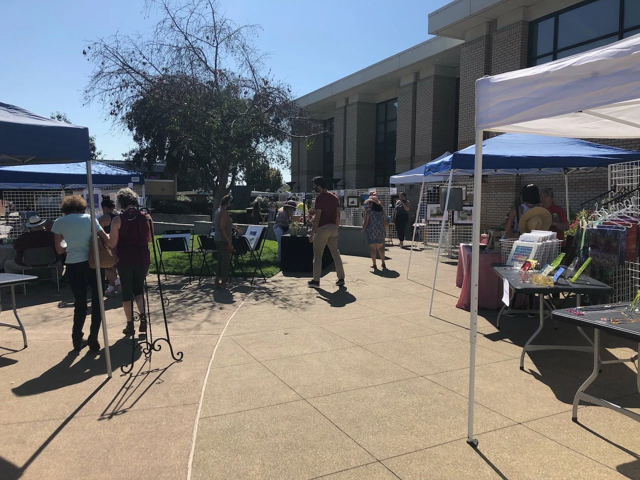 The general public enjoying the displays
