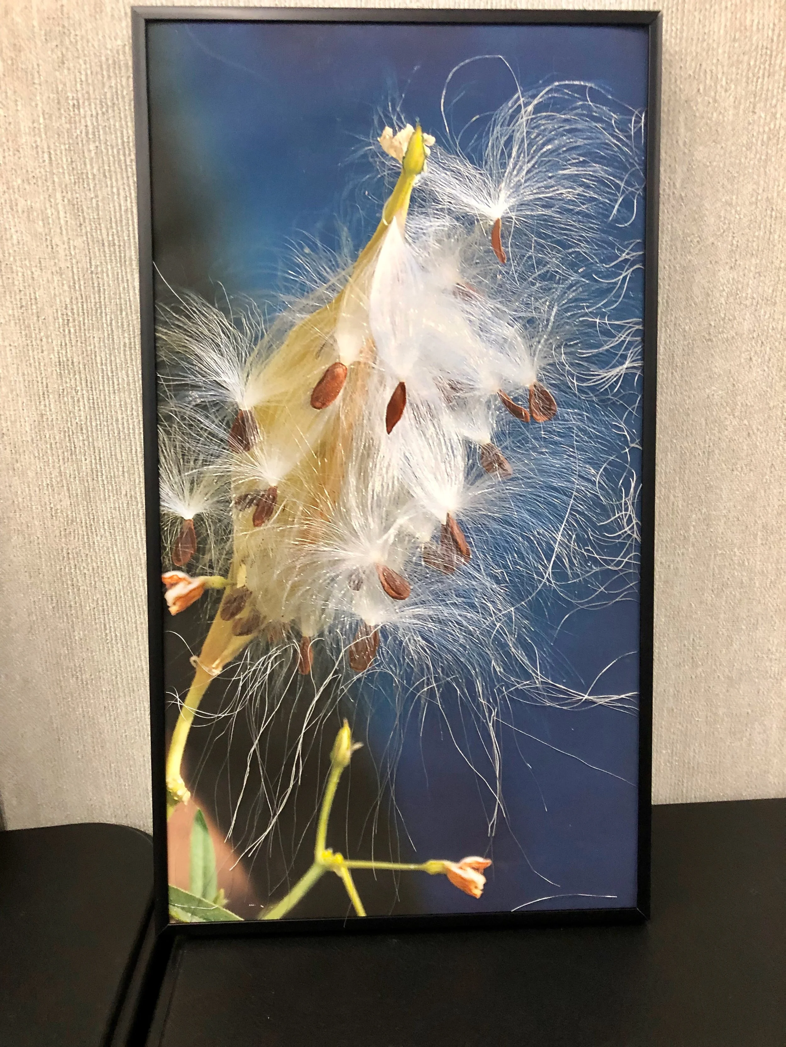 Marilyn Hulbert, mixed media