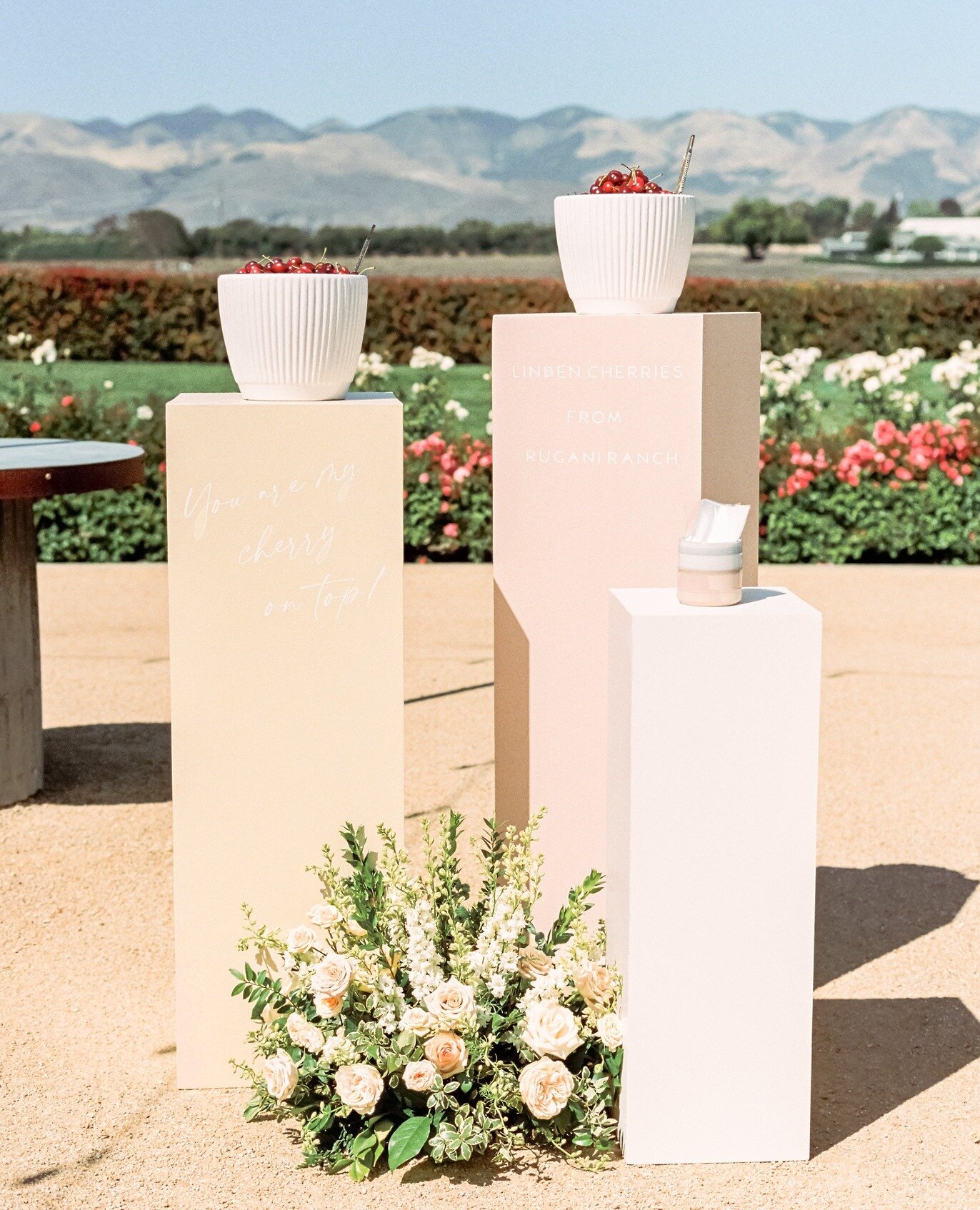 a little personal touch 🍒⁠
⁠
M+J wanted to display cherries picked straight from the family ranch as a little snack for their guests. Complete with little bags for guests to fill up, this was such a special way to incorporate the family ties into th