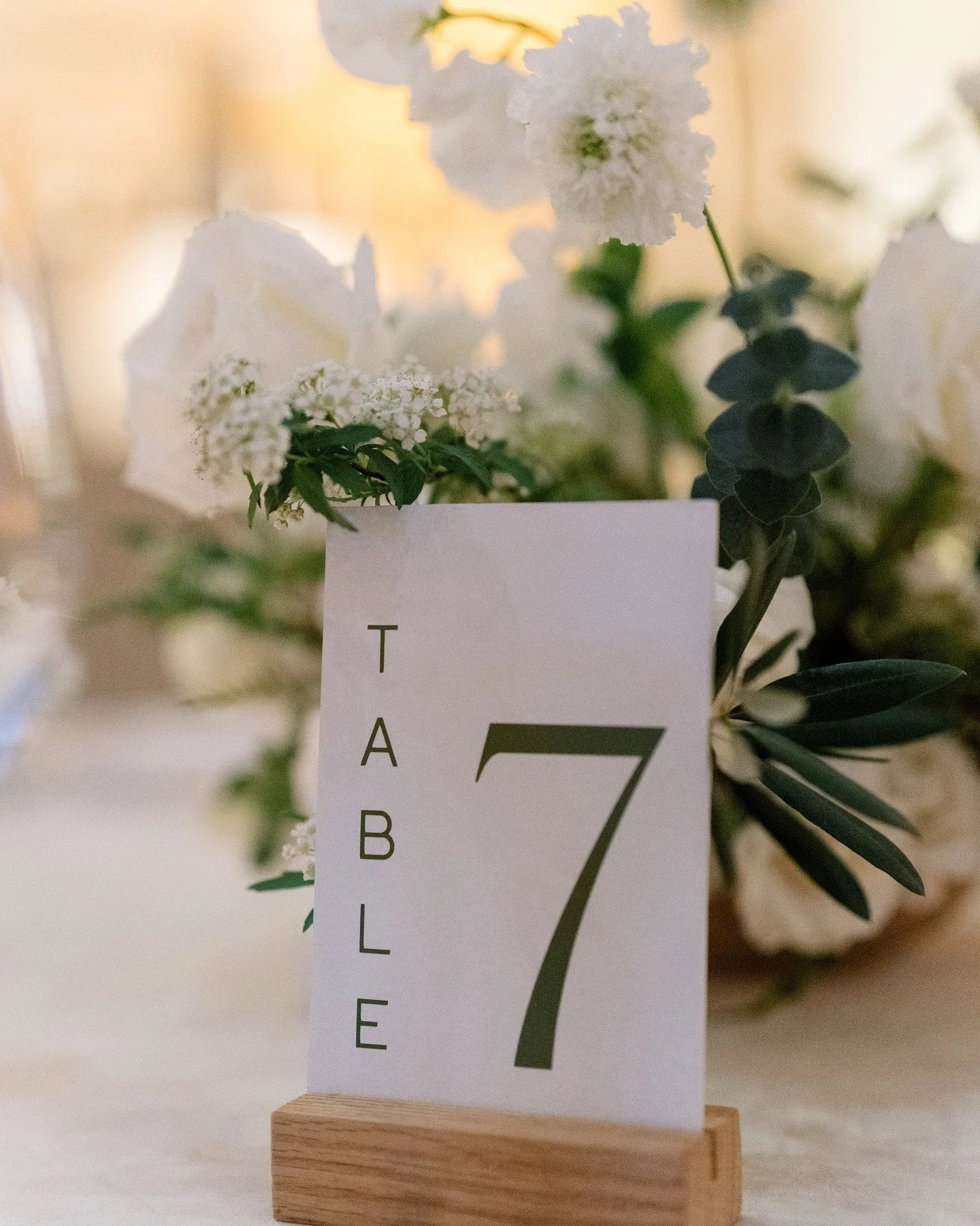 This is our kind of wedding collection — soft greens, white blooms, and modern romance all around. š @roseandwrench custom designed table numbers, menu + bar menu! š«
VENDOR DREAM TEAM: 
Planning & design @meganrose_events
Venue @ritzcarl