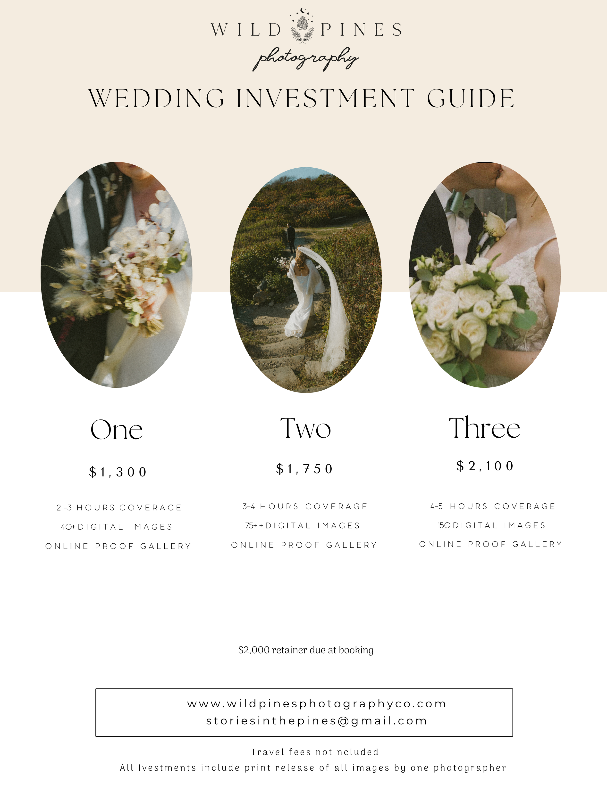 Wedding winter booking offer.png