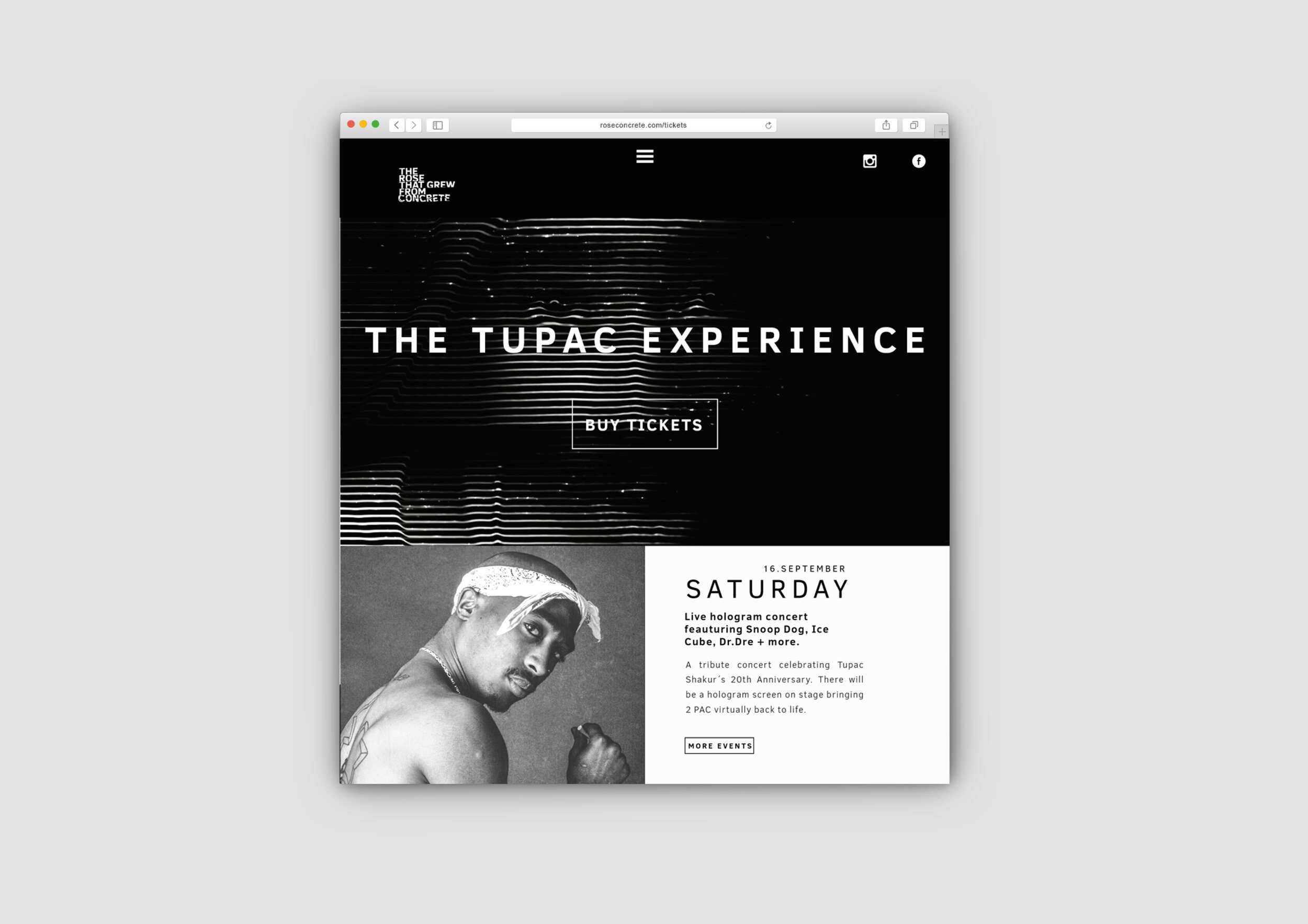 new web2.jpg