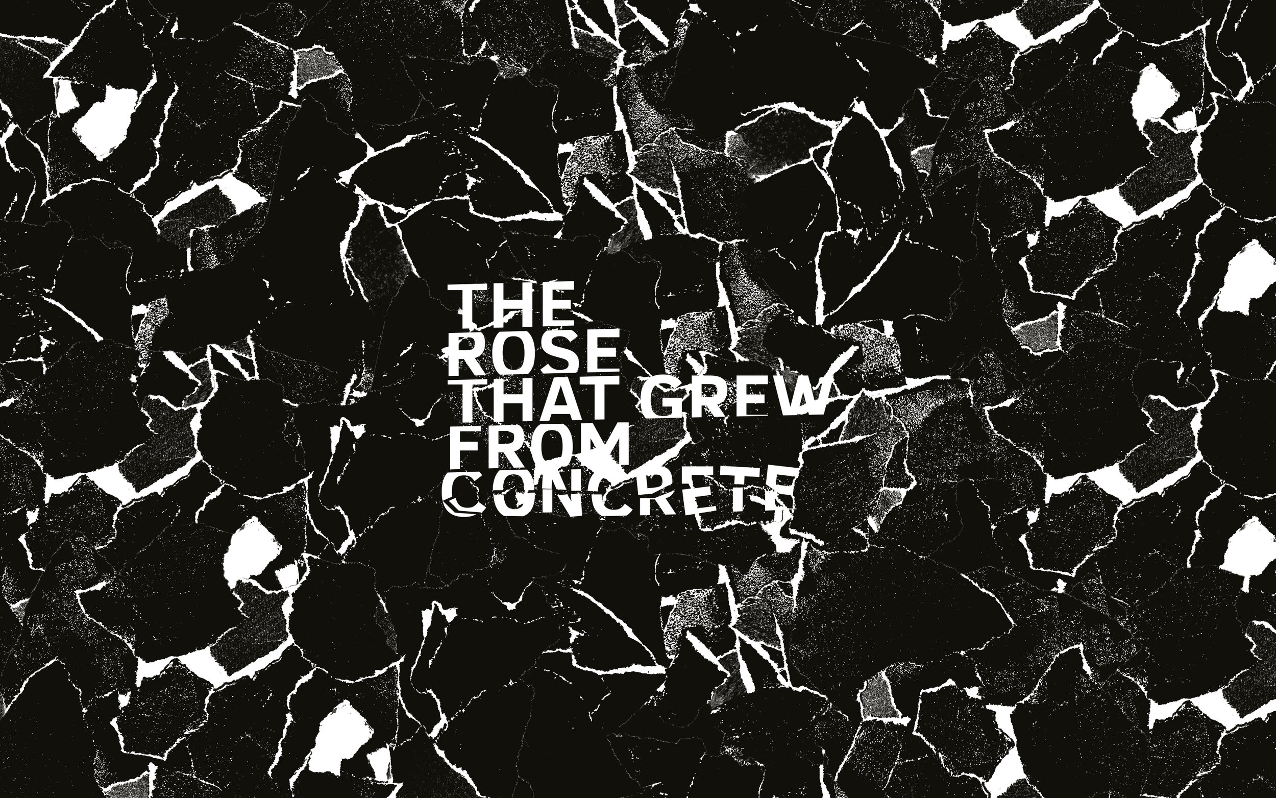 CONCRETE LOGO BG.jpg
