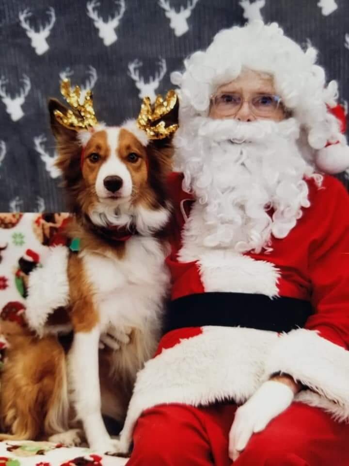 Santa with pup.jpg