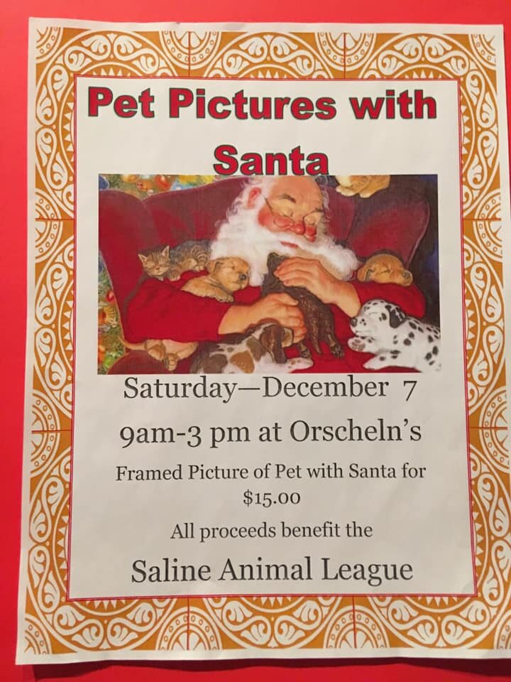 Pictures with Santa Flyer.jpg