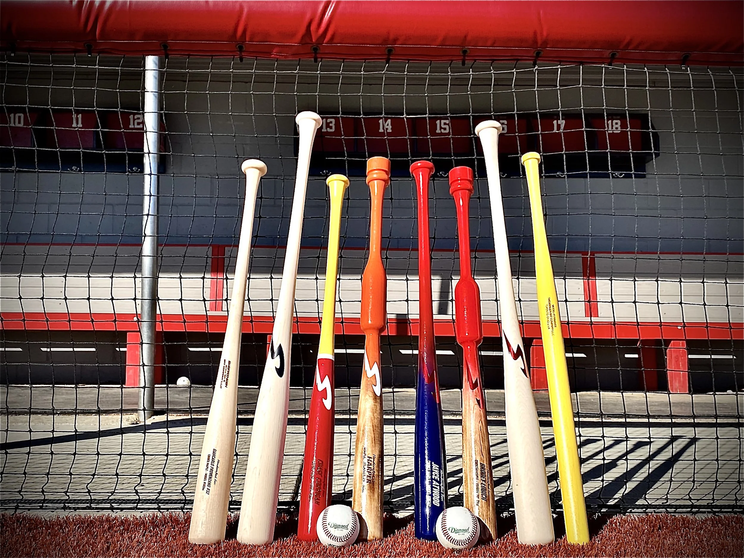 bats on fence.jpg