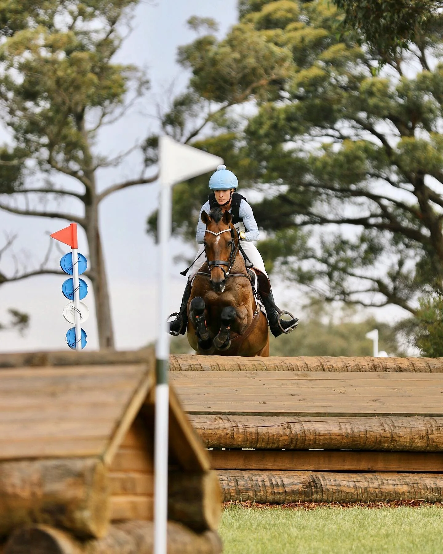 Weekends are for this 📸 I was very grateful to work with the Wallaby Hill team again last year. It is in my opinion by far the most beautiful facility in Aus! The detail in not only every jump but the whole property is a photographers dream. I&rsquo