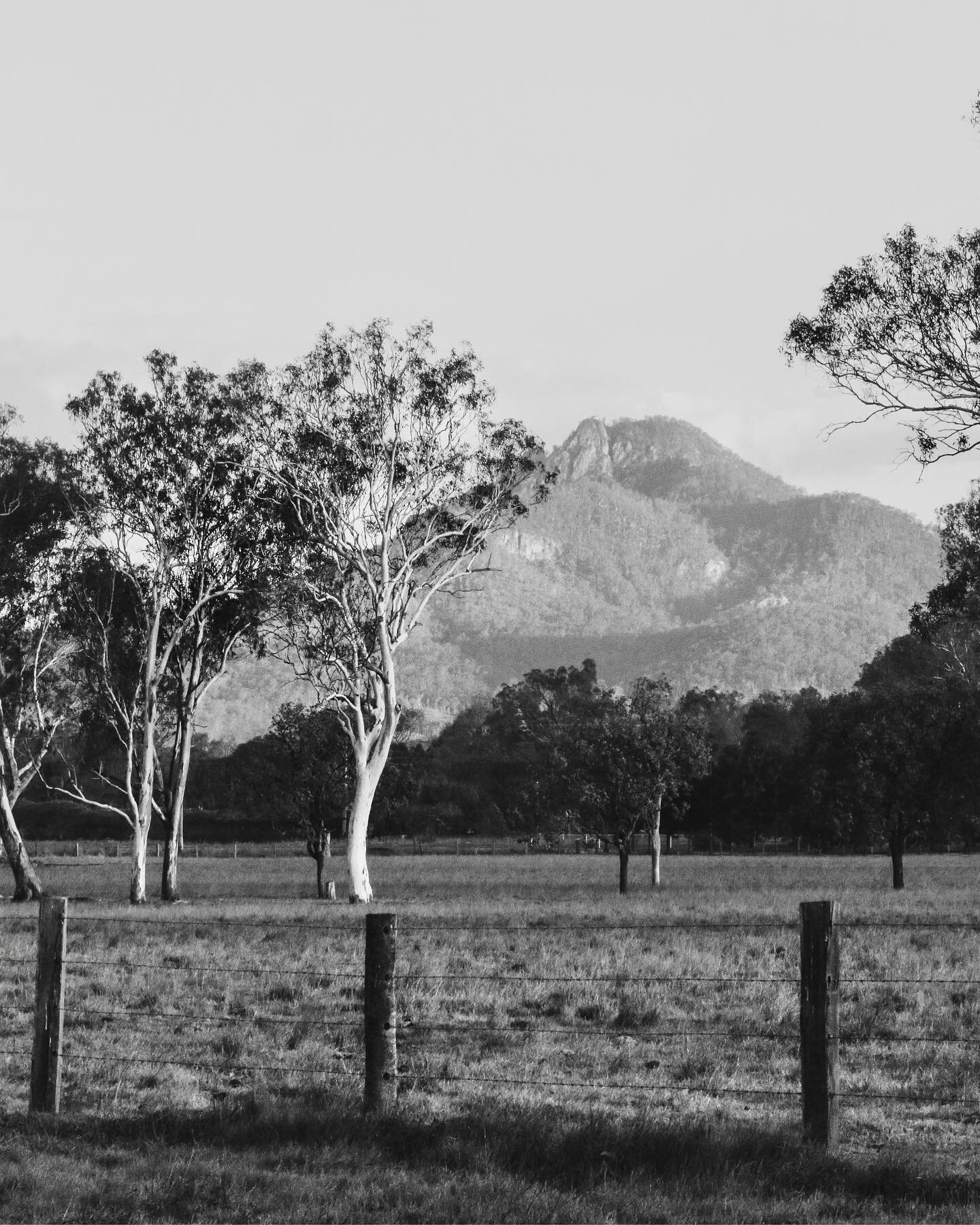 View from the front paddock - Home Sweet Home 🍃 This picture was actually taken this time 2 years ago, it was the driest summer I&rsquo;ve ever seen! Today, on the other hand the paddocks are growing like mad we&rsquo;re having to slash. So grateful