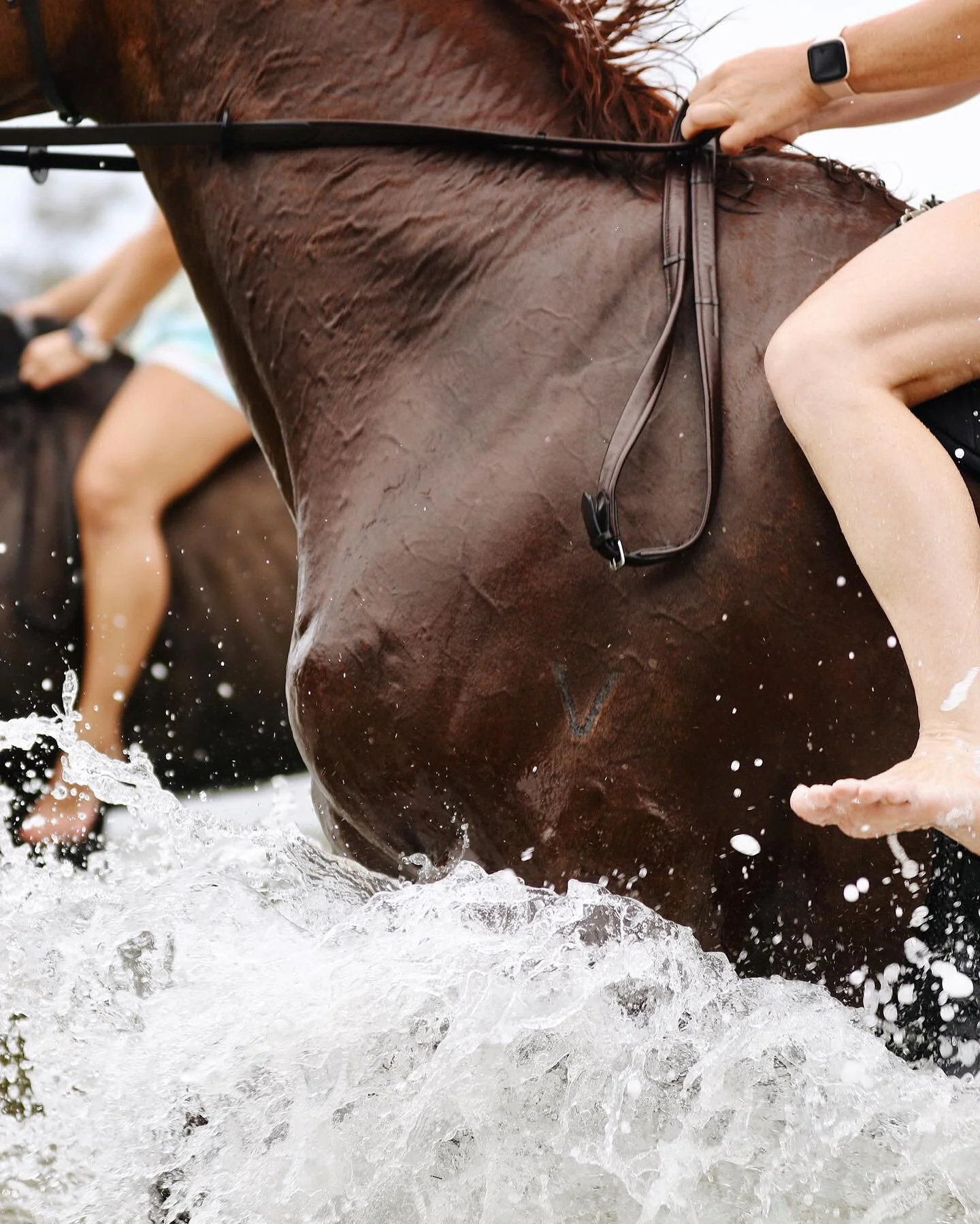 Excuse me, coming through! 🌊