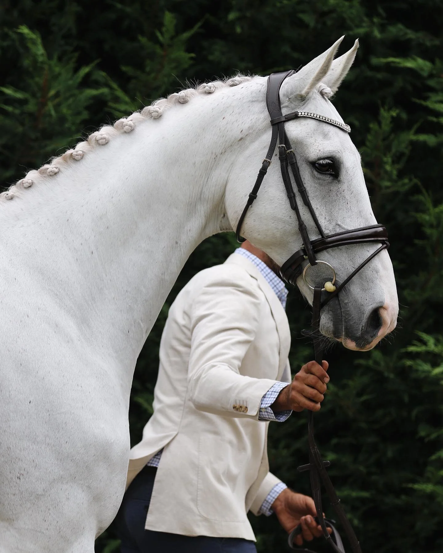 Just admiring the rare moment; Canada as clean as can be - for all of about 10mins! #majestic