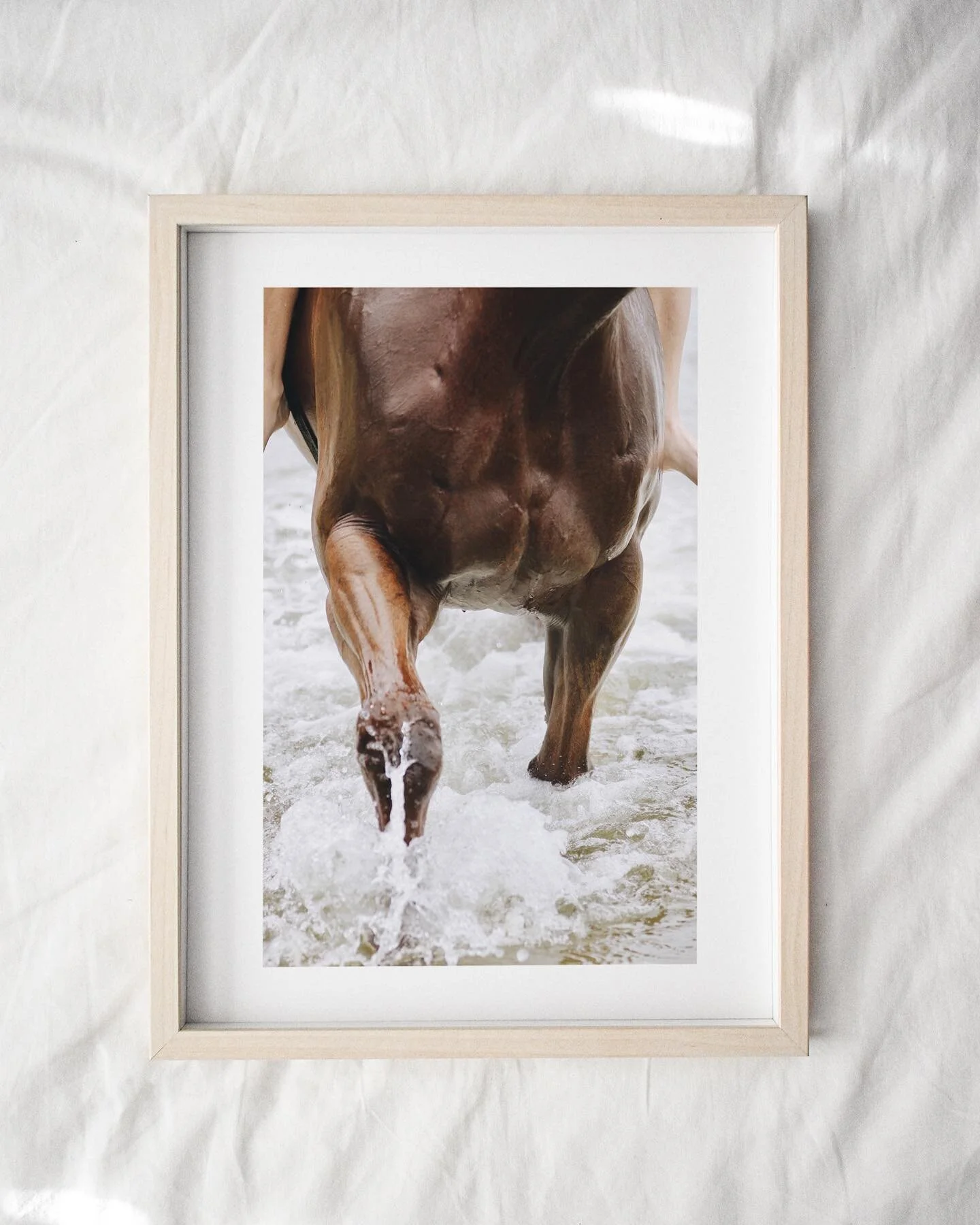 Finally got around to redoing my website - which only took about 3 years (thanks Uni). New prints and images from my Summer Series; where Equestrian Life meets the sea 🌊 now available on my website! Link in bio x