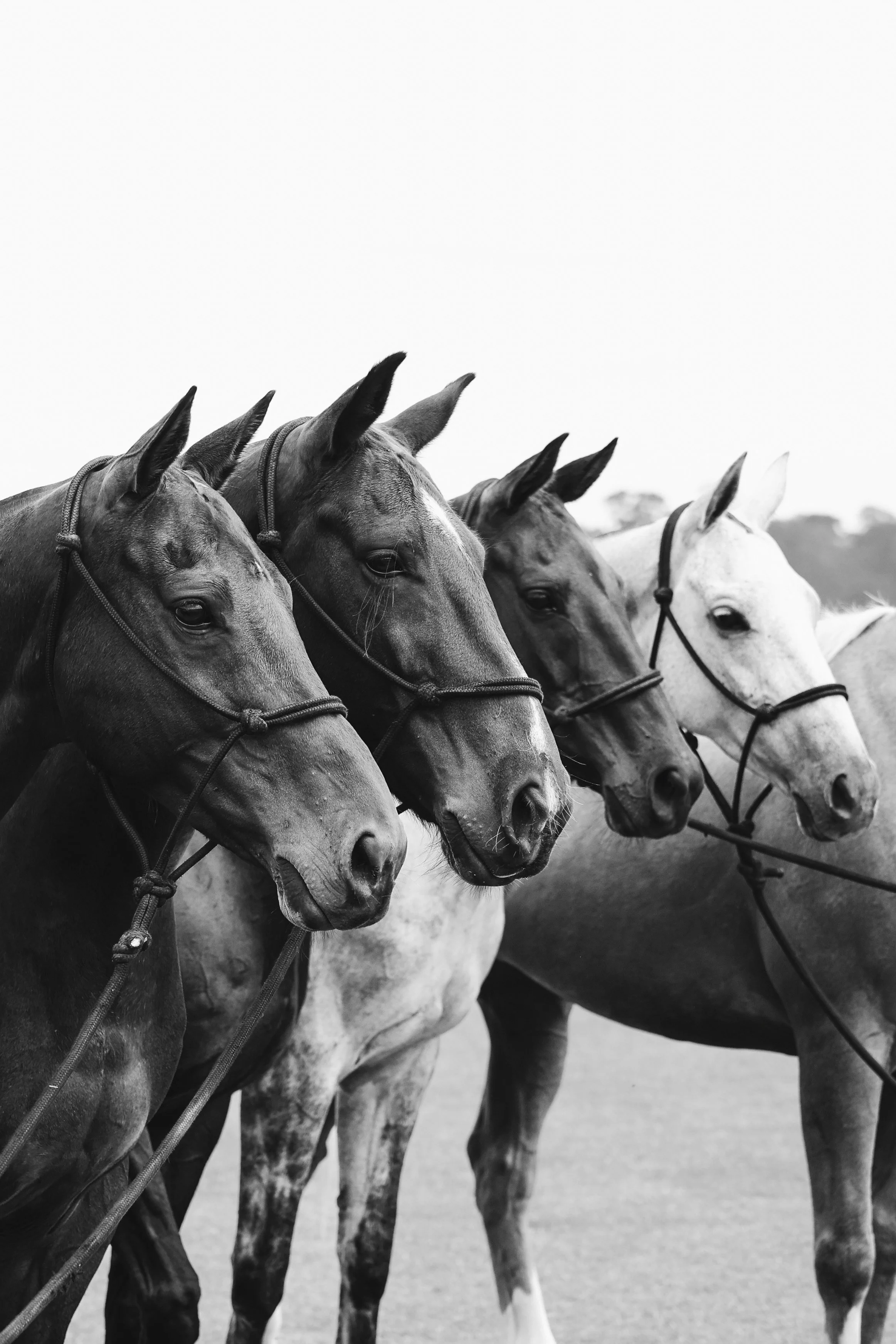 061A0746-2_VSCO 2.JPG