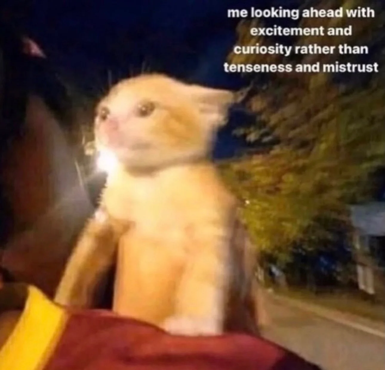 Trusting the process! 😻