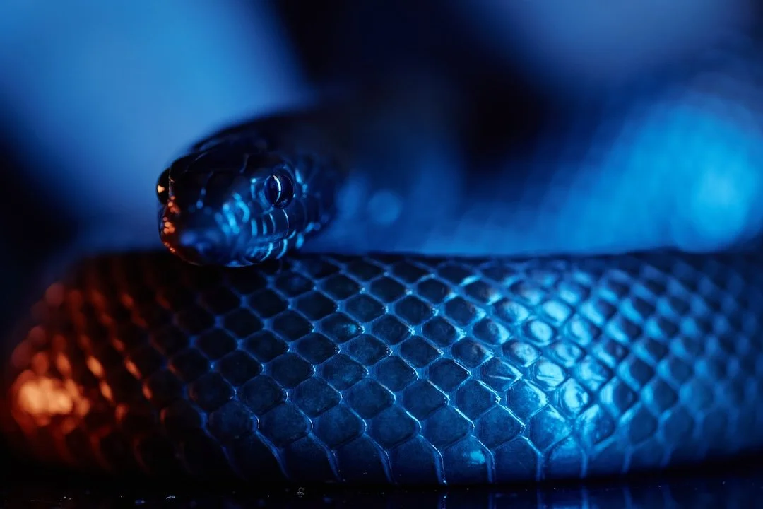 Esoteric Encyclopedia: Kundalini