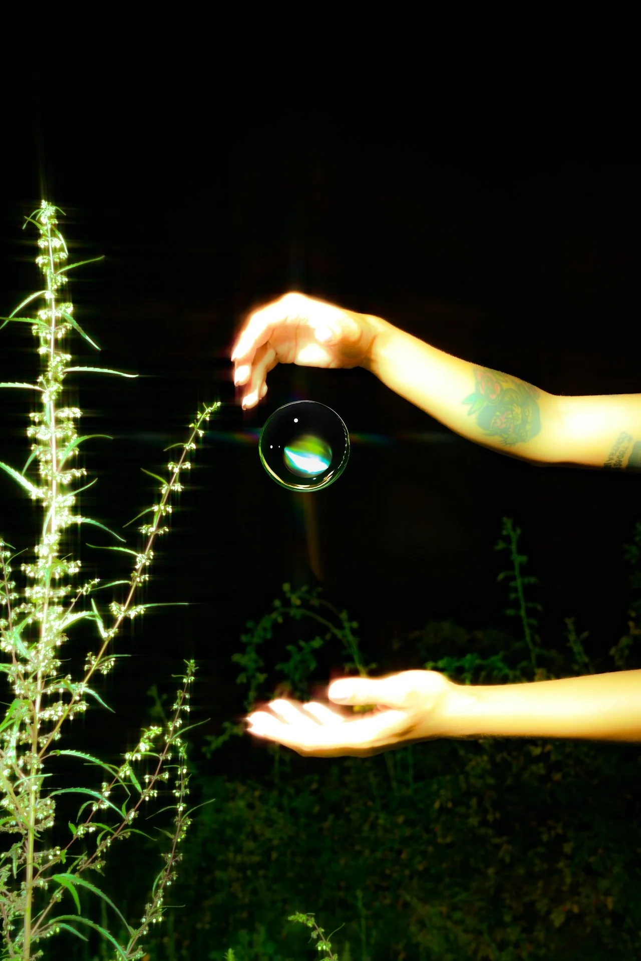 A person's hand with tattoos holding a small bubble near a green plant at night.