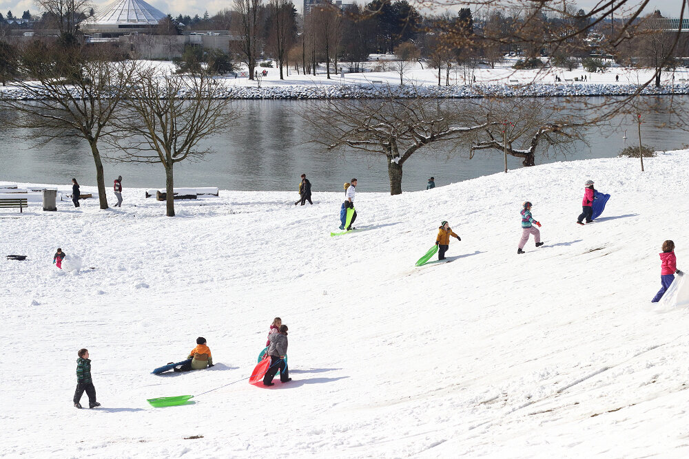 Kids Sledding on Vancouver Snow Day 2018