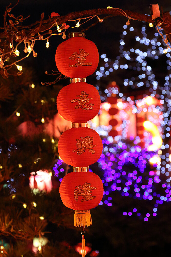 Lantern at Lunar New Year Festival Vanccouver