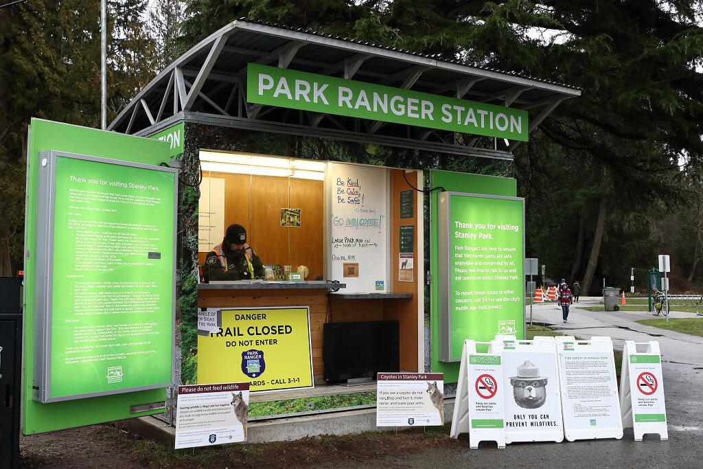 Coyote awareness in StanleyPark