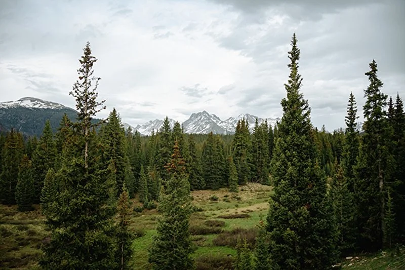 Mountain range lanscape