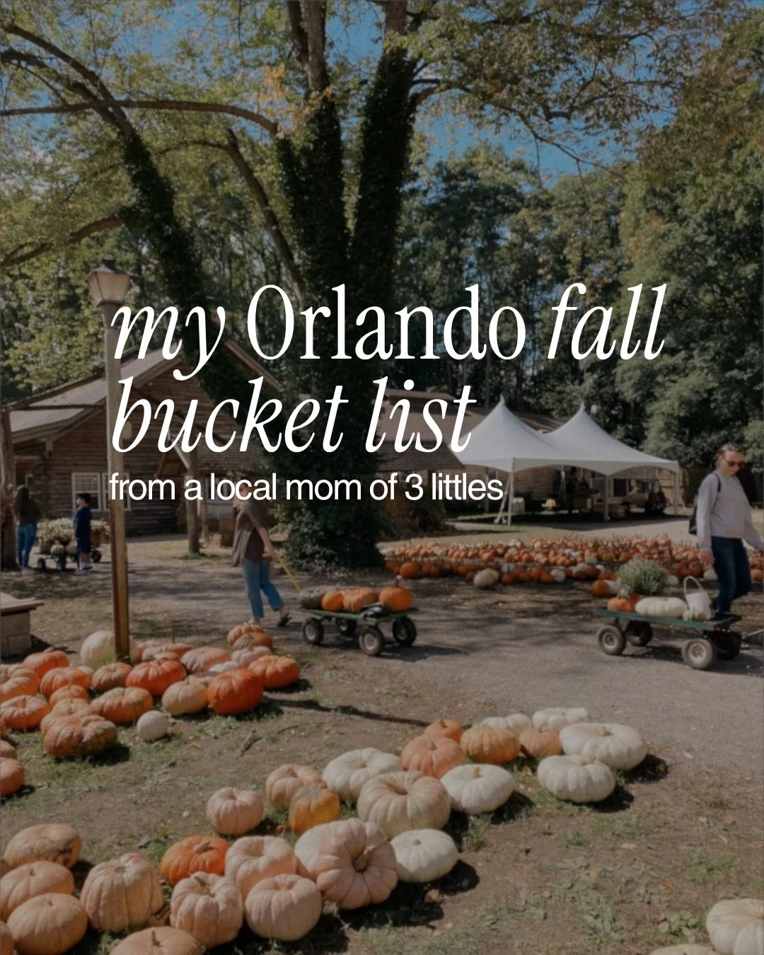 Fall things to do in Orlando are officially taking over my calendar. 🗓️

I&rsquo;m talking Mickey&rsquo;s Not-So-Scary Halloween Party, a Pumpkin Spice Latte + a a photoshoot worthy pumpkin patch, and so much more.

Swipe for the fall plans I&rsquo;