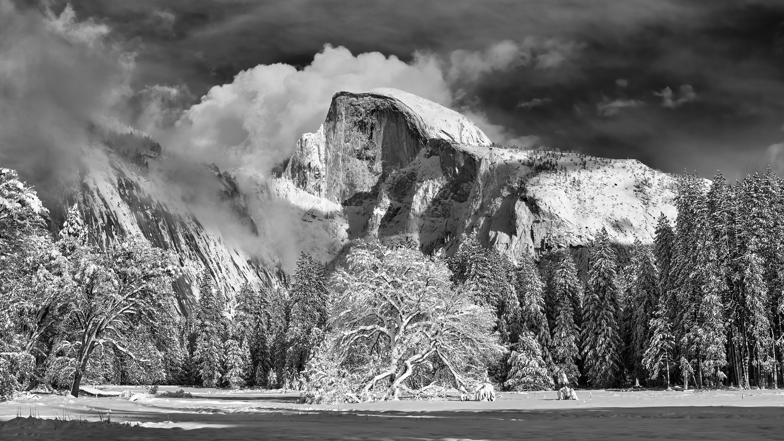 JFHenebry_20190205_CF012717_Yosemite_WinterClearing_BW_.jpg