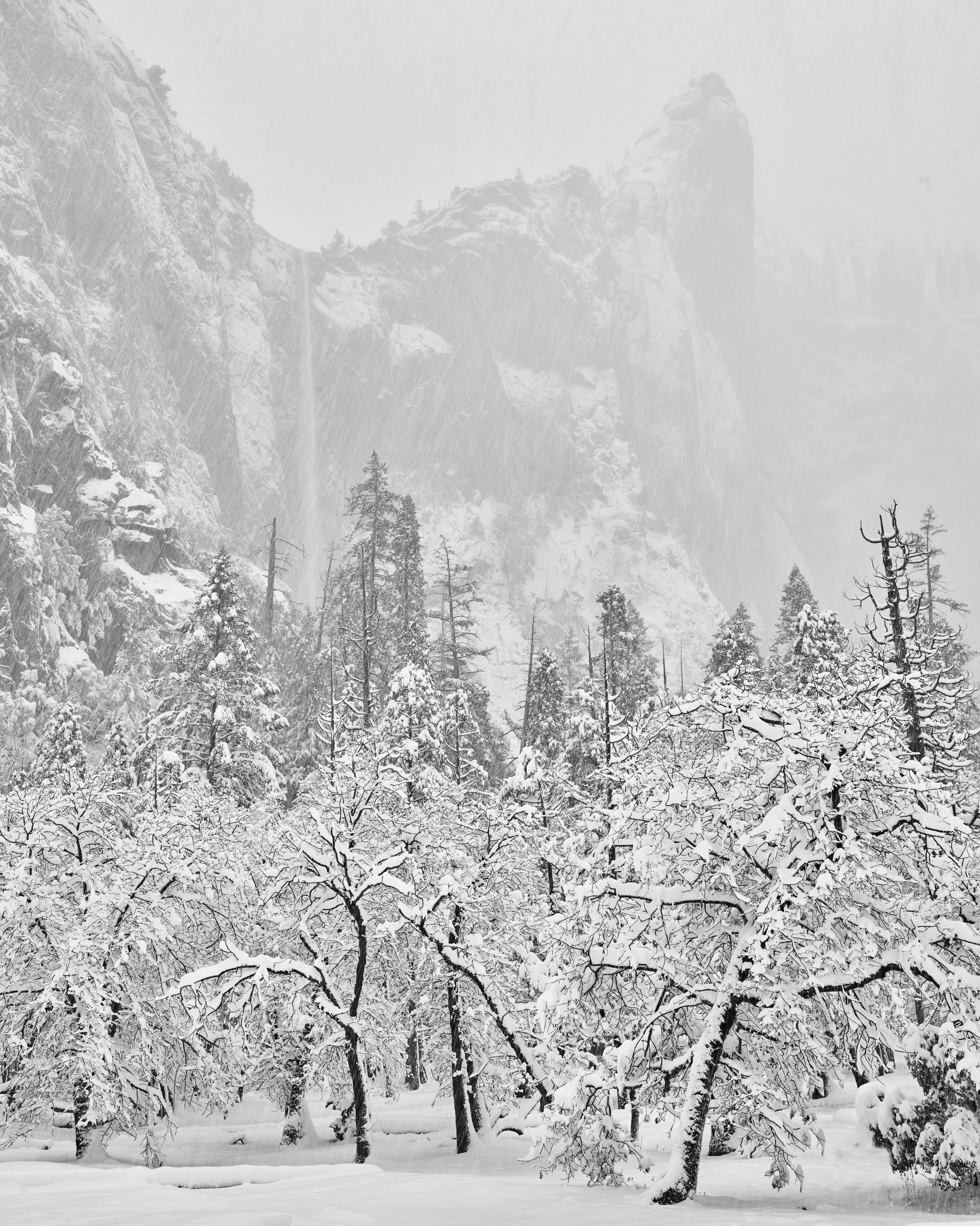 WInter_Snow_BridalVale_Yosemite_web.jpg