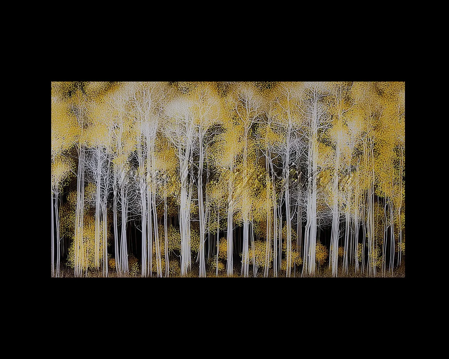 JFHenebry_20260128_DSC_0544 Propagation copy 3.jpg