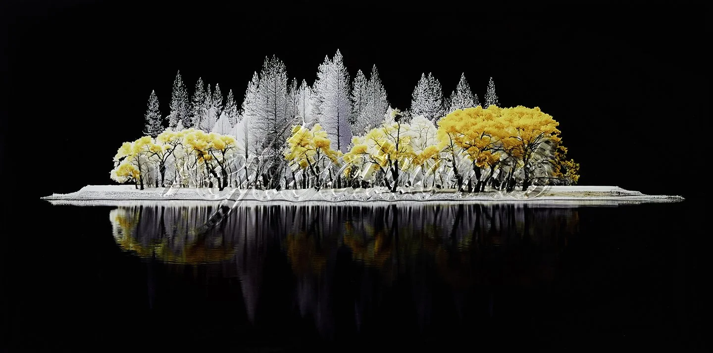 JFHenebry_20260128_DSC_0565 Reflections copy 3.jpg