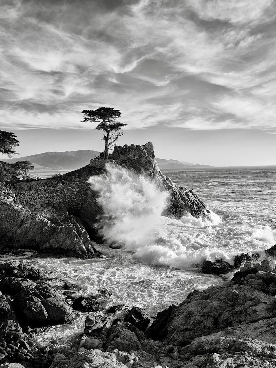 Splash, Lone Cypress, Pebble Beach