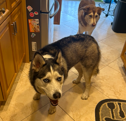 Screen Shot 2026-01-19 at 3.36.41 PM.png