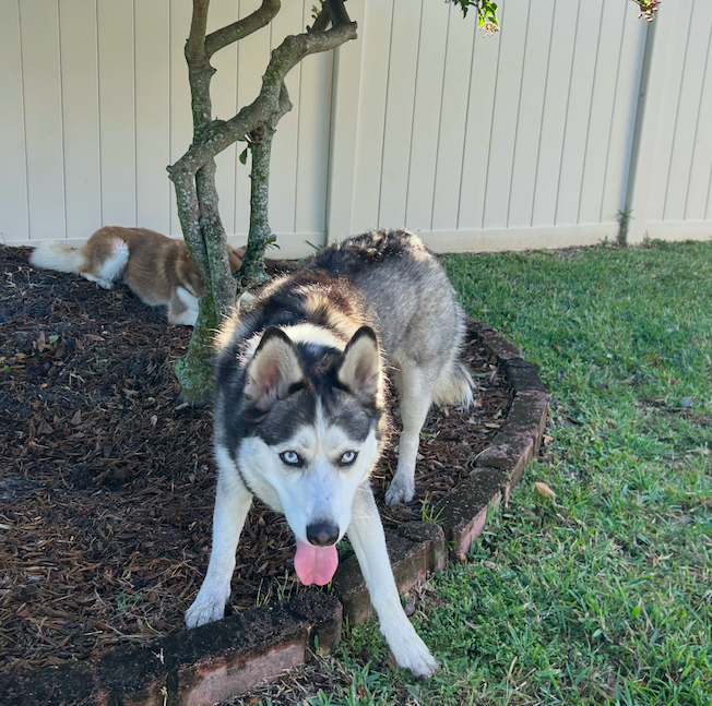 Screen Shot 2026-01-19 at 3.36.34 PM.png