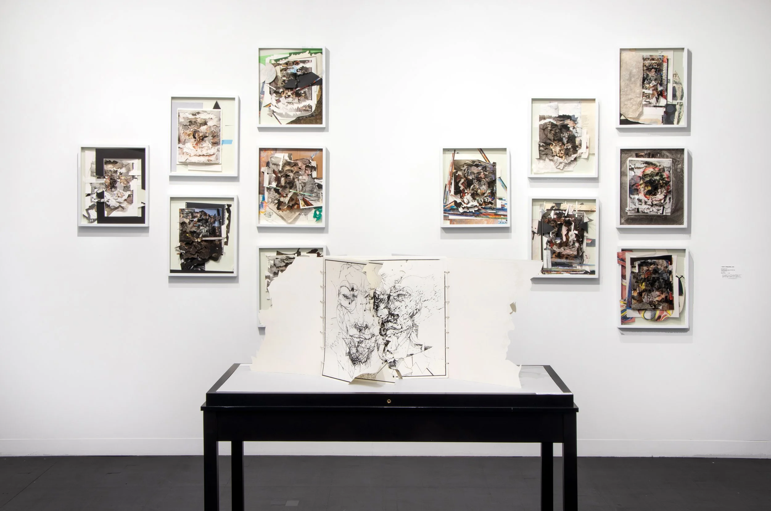 Artists' book, Psychographix, double-bound