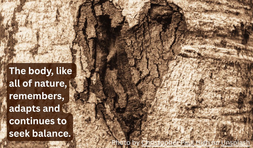 Scar tissue – when healing leaves a lasting imprint