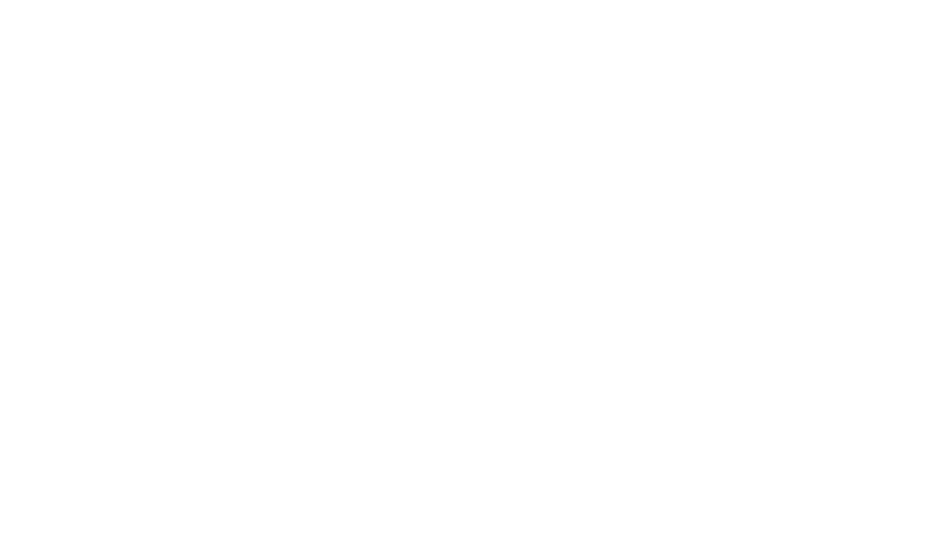 chelsea mcguffin